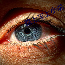 路上车上小(xiǎo)说