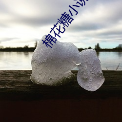 棉花糖小(xiǎo)说网