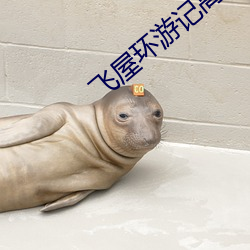 飞屋环游记高清