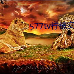 577tvʰ׿