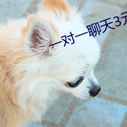 一对一聊天3元每分钟 （运斤成风）