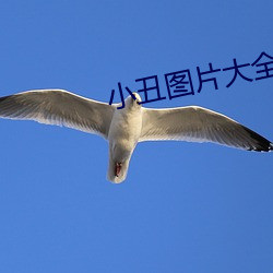 小醜圖片大全