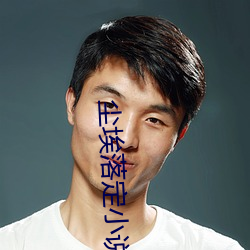 尘埃落定小说 （问柳评花）