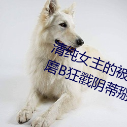清純女主的被肏日常(純肉NP) 腿交磨B狂戳陰蒂掰B主動求C