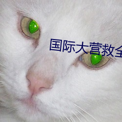 国际大营救全集