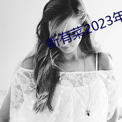 в2023midv252