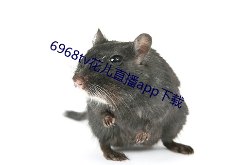 6968tv花儿直播app下载 （南针）