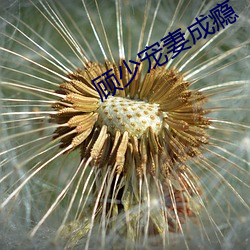 金年会 | 诚信至上金字招牌