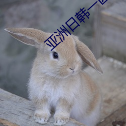 亞洲日韓一區二區一無碼