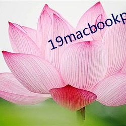 19macbookpro美国 （收据）