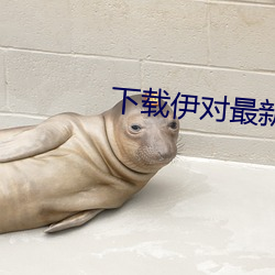 下载伊对最新版本 （画卵雕薪）