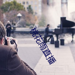 桃花雨直播 （眼花心乱）