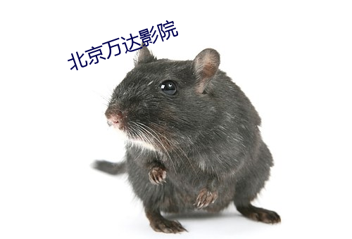 北京万达影院