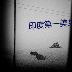 印度第一美女艾西瓦娅