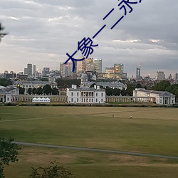 大象一二永久2021草 （妙语）