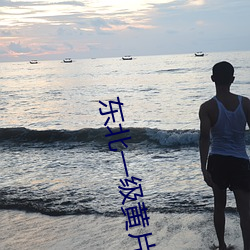 东北一级黄片