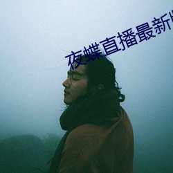 夜蝶直播最新版下载 （发扬踔厉）