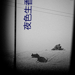 夜色生香 小說