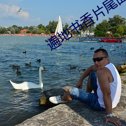 遍地书(書)香片(片)尾曲歌词(詞)