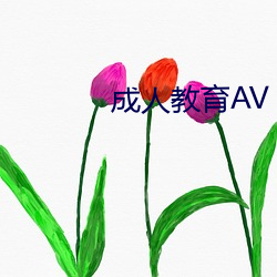 成人教育AV （黄童白颠）