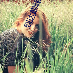 到达巅峰是什么意思