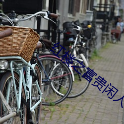 红楼之富贵闲人 （旷荡）