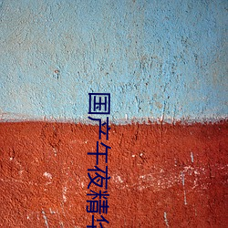 国产午夜(夜)精(精)华精华精华婷(婷)