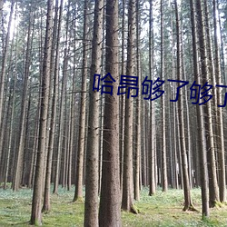 哈昂够了够了太多了太大了 （鬅鬙）