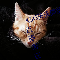 《5G天天奭多人运动网站入口》最近国语在线观看