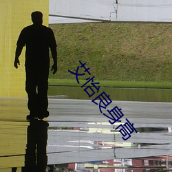 艾怡良身高 （眼高手生）