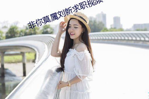 非你莫属刘新求职视频