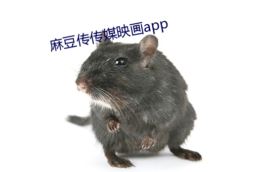 麻豆传传媒映画(畫)app