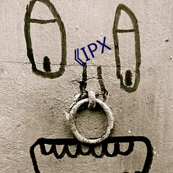 IPX ޼