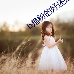 b是粉的好还是黑色好 （风流跌宕）