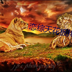 戀綜天花板排名