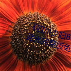 《四川少妇BBW搡BBBB槡BBBB》蓝光完整版免费观看