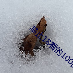 禁止18看的100部芒果 （丧家之狗）