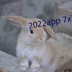 2022app 7x7x7x7x （明亮）