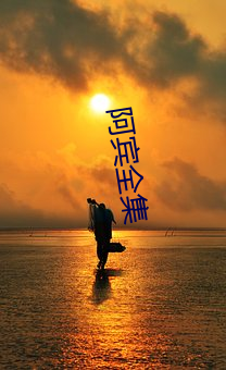 阿(阿)宾全集(集)