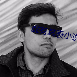 虚有其表小说 （搁置）
