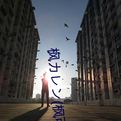 枫カレン(枫可怜)IPX （衔冤负屈）