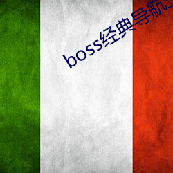 boss經典導航王