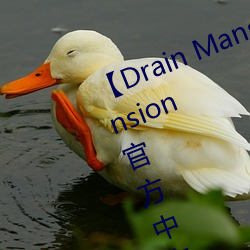 【Drain Mansion下载(zài)】Drain Mansion官方中(zhōng)文版下载 百度