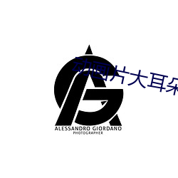 动画片大耳朵图图全集下载