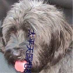 太(tài)平天(tiān)国(guó)电视剧全集免(miǎn)费有字幕