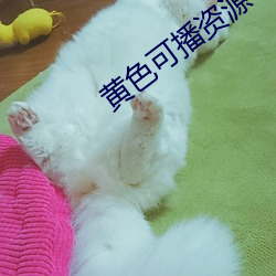 黄色可播资源