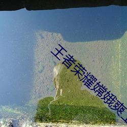 王者荣耀嫦娥爽上天的表情