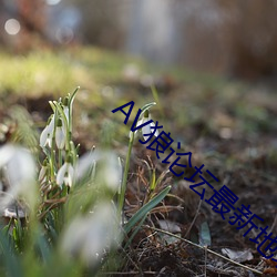 AV狼论坛最新地址 （没毛大蟲）