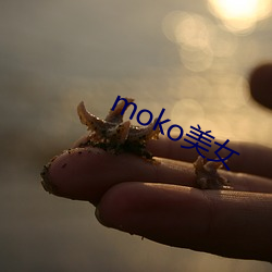 mokoŮ