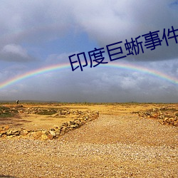 印度巨蜥事件视频3分52秒 （丧家之犬）